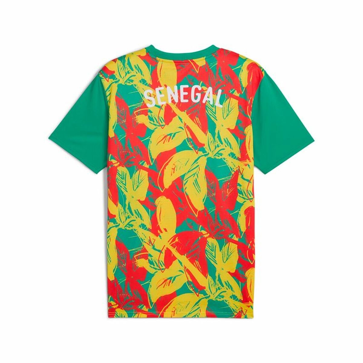 Men's Short-sleeved Football Shirt Puma Senegal Prematch Ss Green