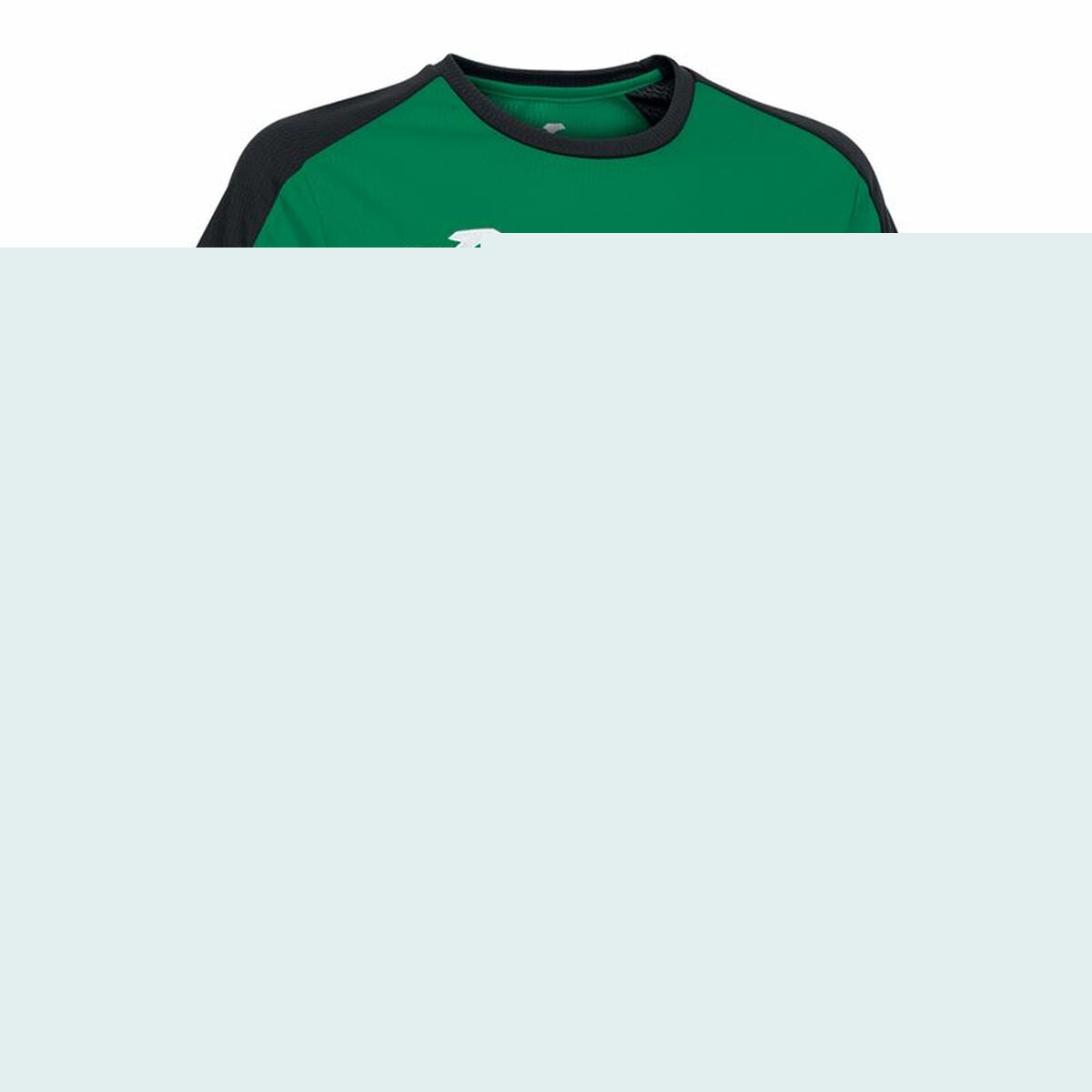 Football T-Shirt Joma Sport Eco Championship