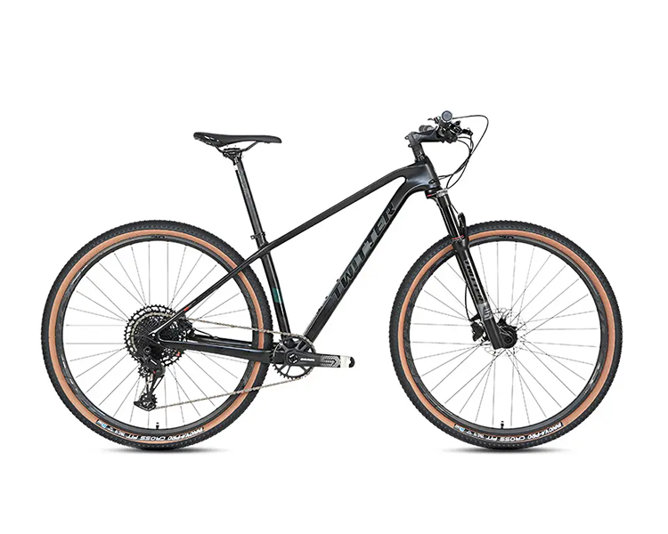 WARRIOR Pro Boost - Carbon Fiber Mountain Bike