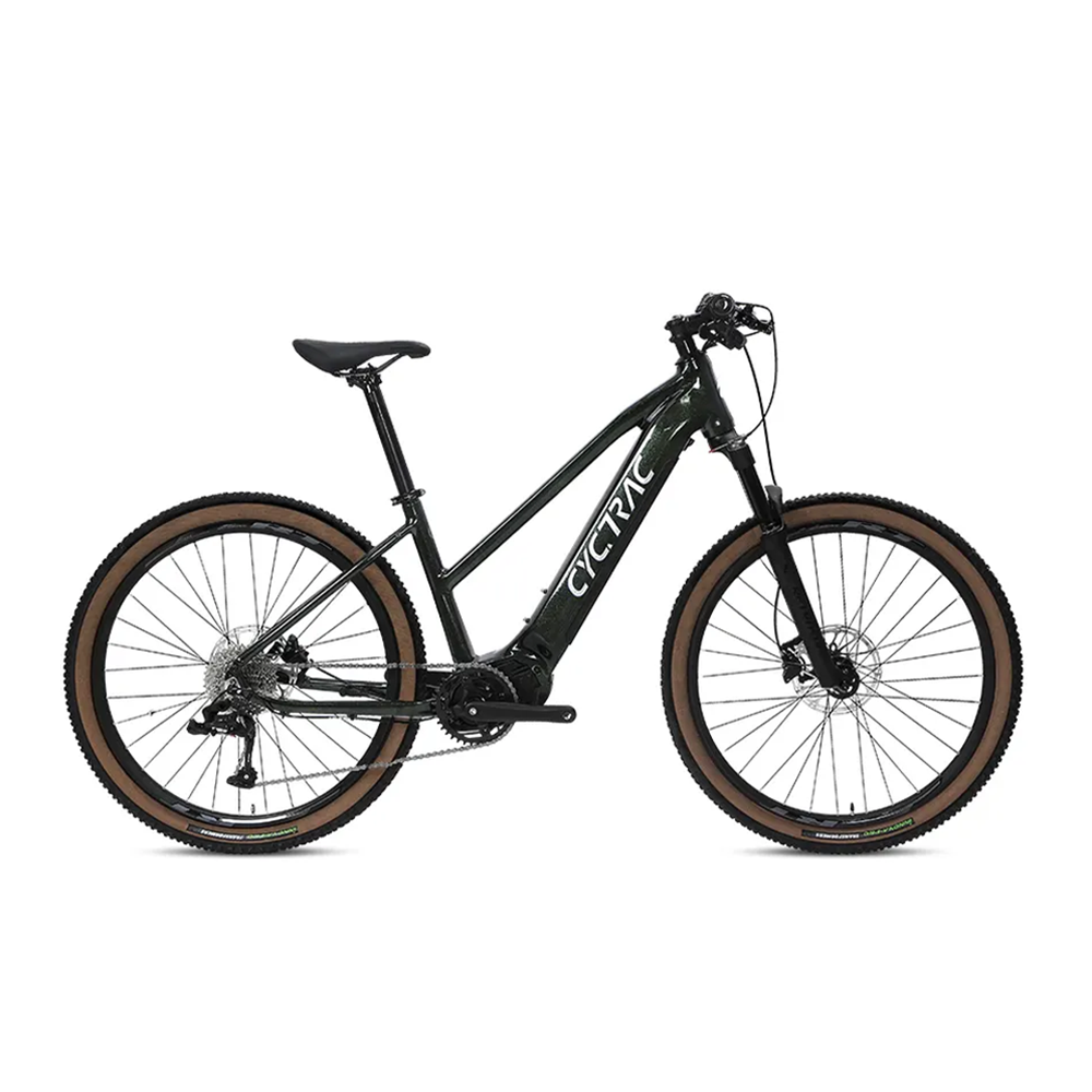 EC1 - ELECTRIC ALLOY BIKE