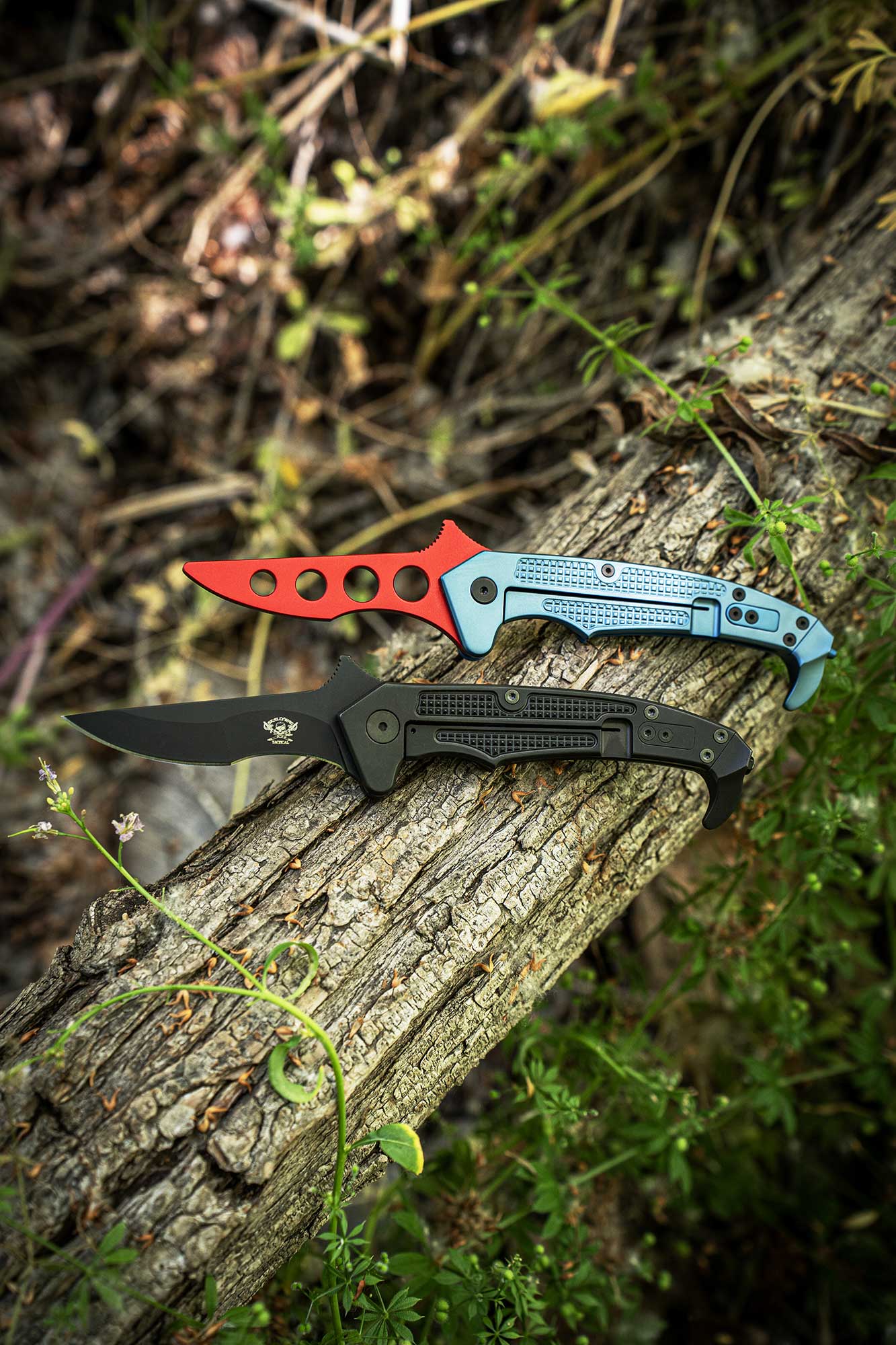 MDV Folder Kit