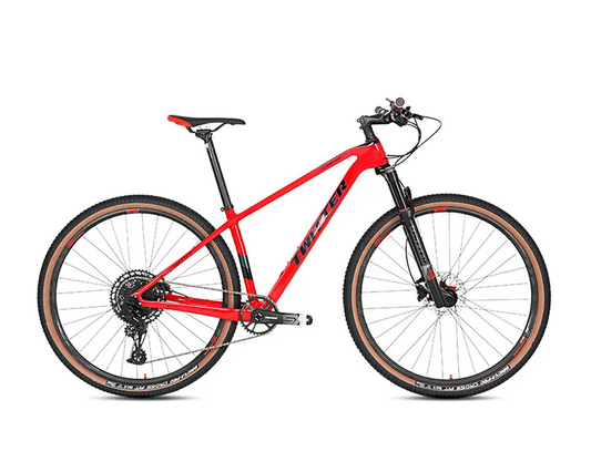 WARRIOR Pro Boost - Carbon Fiber Mountain Bike