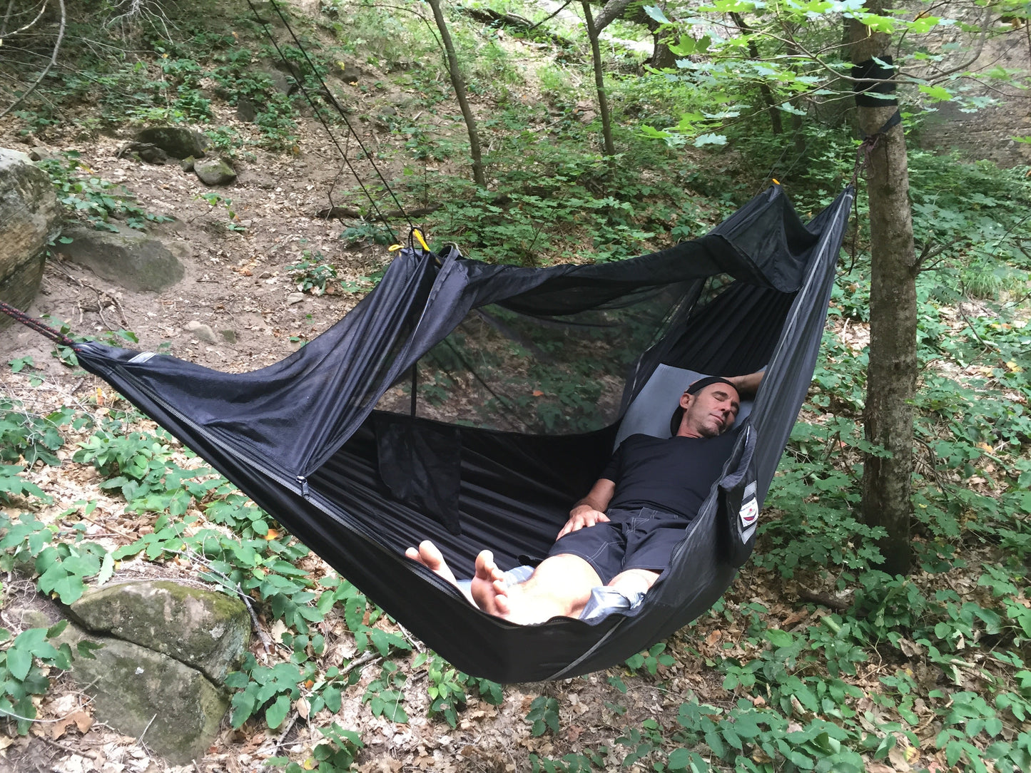Sky Bed Bug Free
