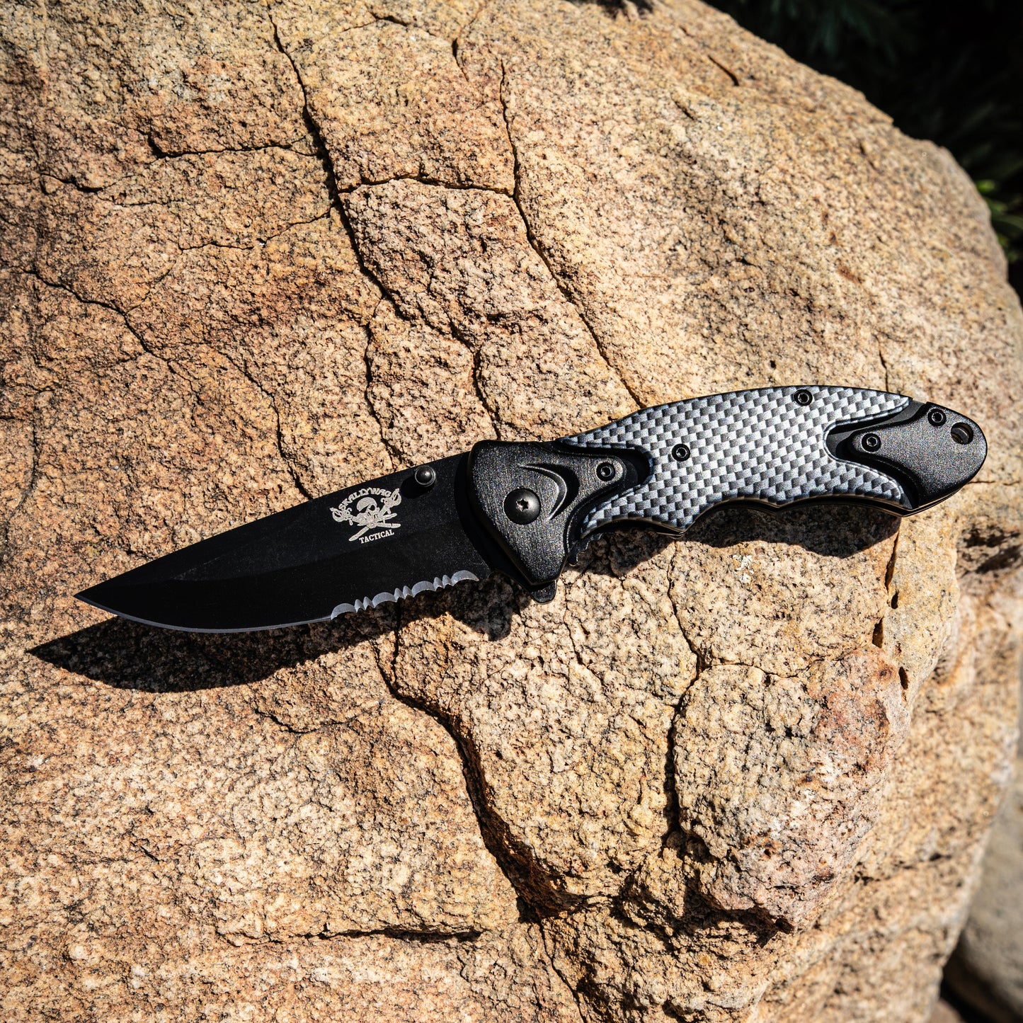 Orca