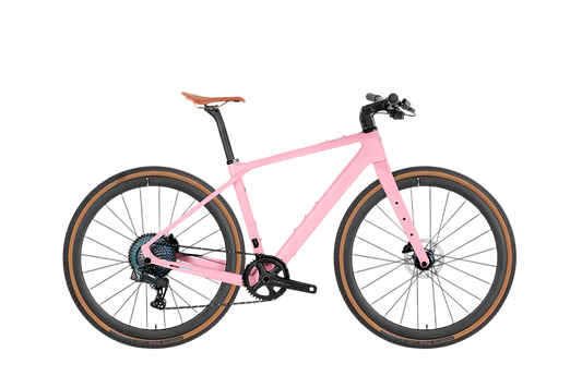 GRAVEL X PB - Carbon Fiber Gravel Bike